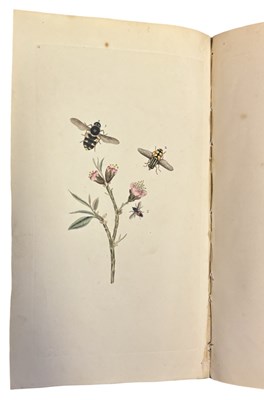 Lot 44 - E DONOVAN: THE NATURAL HISTORY OF BRITISH...