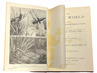 Lot 45 - LOUIS FIGUIER: THE INSECT WORLD: BEING A...
