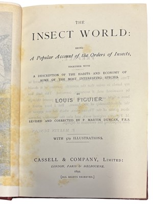 Lot 45 - LOUIS FIGUIER: THE INSECT WORLD: BEING A...