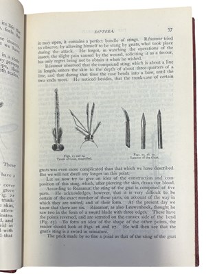 Lot 45 - LOUIS FIGUIER: THE INSECT WORLD: BEING A...