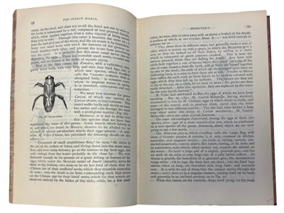 Lot 45 - LOUIS FIGUIER: THE INSECT WORLD: BEING A...