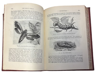 Lot 45 - LOUIS FIGUIER: THE INSECT WORLD: BEING A...