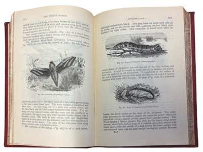 Lot 45 - LOUIS FIGUIER: THE INSECT WORLD: BEING A...
