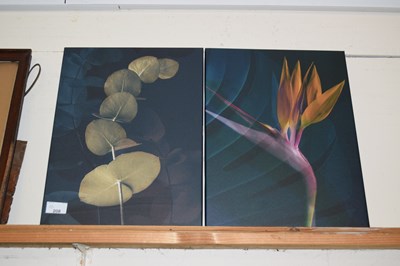 Lot 208 - Two prints on canvas of flowers