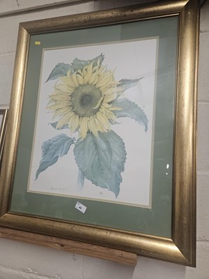 Lot 40 - Coloured print of a sunflower