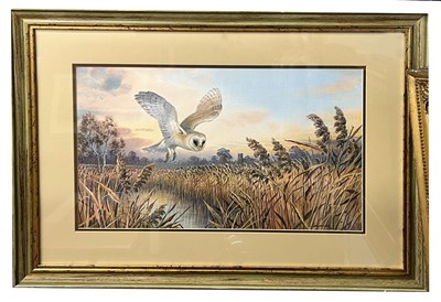 Lot 10 - Carl Donner (b.1957), Barn Owl in flight over...