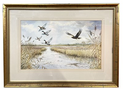 Lot 114 - Carl Donner (b.1957), Mallards and Marsh...