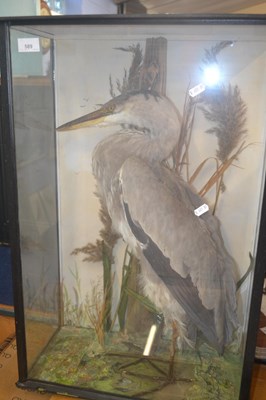 Lot 589 - An antique taxidermy grey heron set in a...