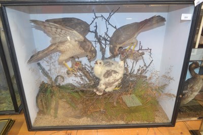 Lot 591 - Antique Taxidermy - a late 19th Century...