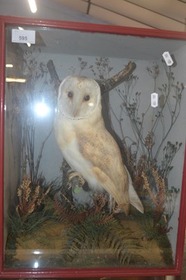 Lot 595 - An early 20th Century taxidermy study of a...