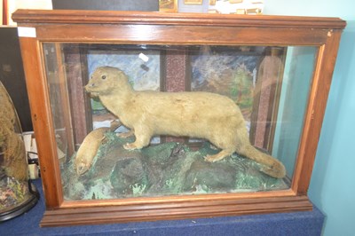 Lot 597 - An antique taxidermy study of an otter with a...
