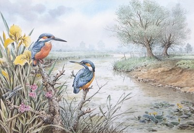 Lot 469 - Carl Donner (b.1957), Kingfishers perched on...