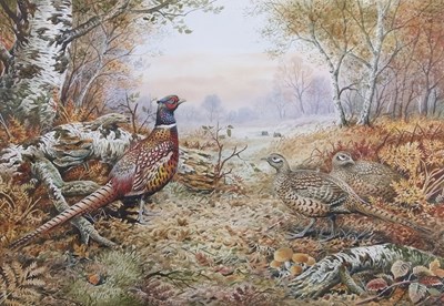 Lot 465 - Carl Donner (b.1957), Pheasant and Partridge...