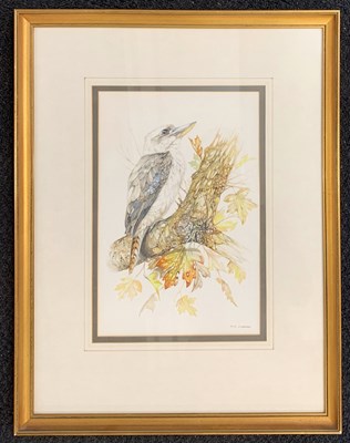 Lot 142 - P.J.R. Chapman (contemporary), Kookaburra,...