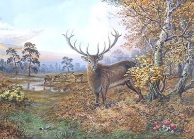 Lot 470 - Carl Donner (b.1957), Stag and deer in an...