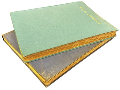 Lot 98 - PETER SCOTT: 2 Titles: MORNING FLIGHT - A BOOK...