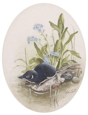 Lot 567 - John Last (1941- 1990), "Pygmy Shrew",...
