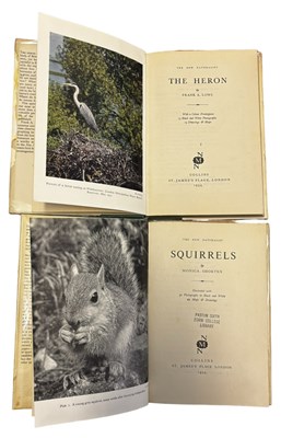 Lot 80 - THE NEW NATURALIST: 2 Titles: MONICA SHORTEN:...