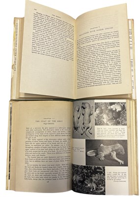 Lot 80 - THE NEW NATURALIST: 2 Titles: MONICA SHORTEN:...