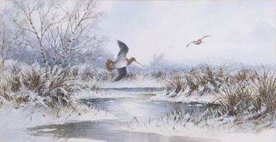 Lot 558 - Colin W. Burns (born 1944), "Snipe on the...