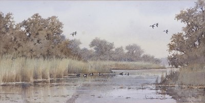 Lot 551 - Colin W. Burns (b.1944) "Wildfowl in the Broad"...