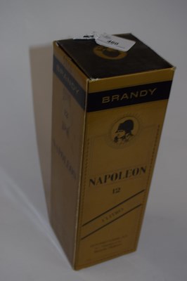 Lot 460 - A one litre bottle of Napoleon Especial 12...