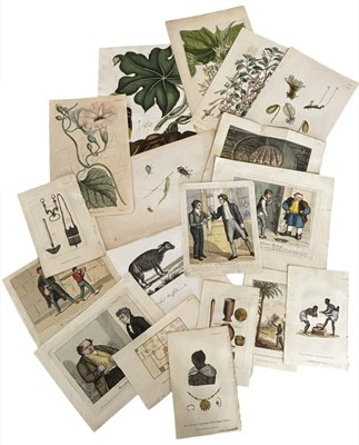Lot 1038 - A Collection of hand coloured engraved prints,...