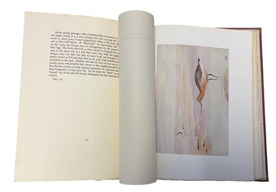 Lot 44 - E C ARNOLD: BRITISH WADERS, Cambridge, CUP,...