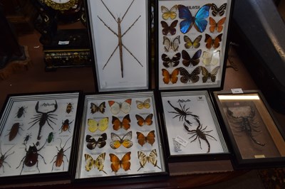 Lot 536 - A group of six cases of Malaysian farmed...