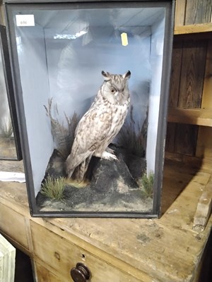 Lot 696 - An early 20th Century taxidermy study of a...