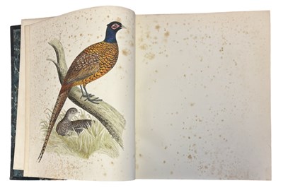 Lot 91 - BEVERLEY R MORRIS: BRITISH GAME BIRDS AND...