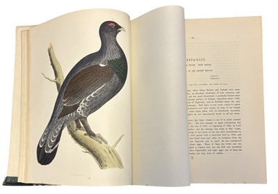 Lot 91 - BEVERLEY R MORRIS: BRITISH GAME BIRDS AND...