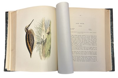 Lot 91 - BEVERLEY R MORRIS: BRITISH GAME BIRDS AND...