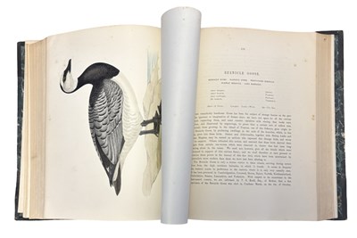 Lot 91 - BEVERLEY R MORRIS: BRITISH GAME BIRDS AND...