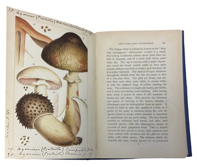 Lot 43 - M C COOKE: BRITISH EDIBLE FUNGHI - HOW TO...