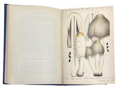 Lot 43 - M C COOKE: BRITISH EDIBLE FUNGHI - HOW TO...
