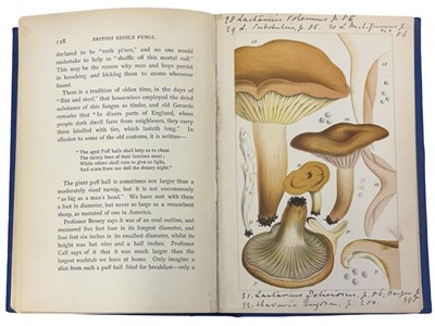 Lot 43 - M C COOKE: BRITISH EDIBLE FUNGHI - HOW TO...
