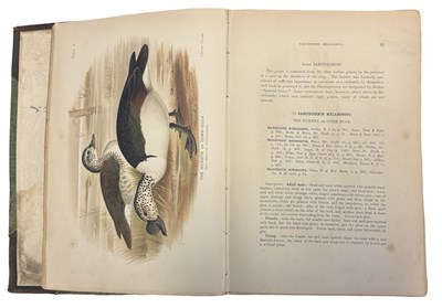 Lot 89 - E C STUART BAKER: INDIAN DUCKS AND THEIR...