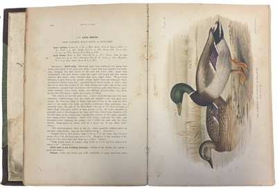 Lot 89 - E C STUART BAKER: INDIAN DUCKS AND THEIR...