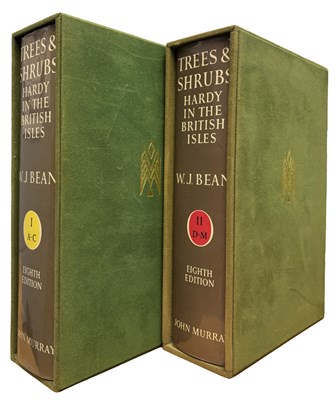 Lot 40 - W J BEAN: TREES AND SHRUBS - HARDY IN THE...