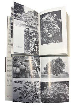 Lot 40 - W J BEAN: TREES AND SHRUBS - HARDY IN THE...