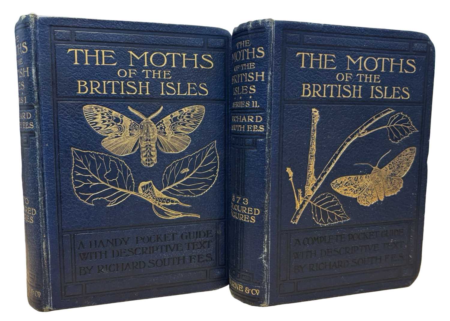 Lot 76 - RICHARD SOUTH: THE MOTHS OF THE BRITISH ISLES,...