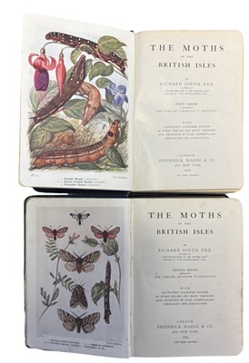 Lot 76 - RICHARD SOUTH: THE MOTHS OF THE BRITISH ISLES,...