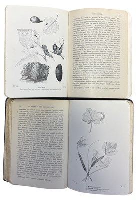 Lot 76 - RICHARD SOUTH: THE MOTHS OF THE BRITISH ISLES,...