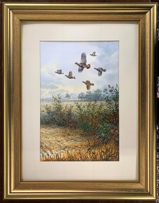 Lot 8 - Carl Donner (b.1957), Partridges alighting,...