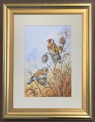 Lot 10 - Carl Donner (b.1957), Resting finches on...