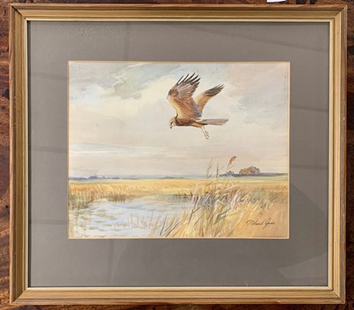 Lot 39 - Roland Green (1896-1971), Marsh Harrier in...