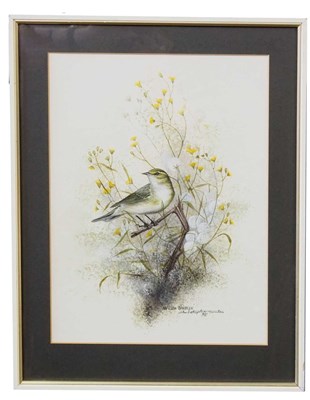 Lot 228 - Christopher Scales (British), 'Willow Warbler'...