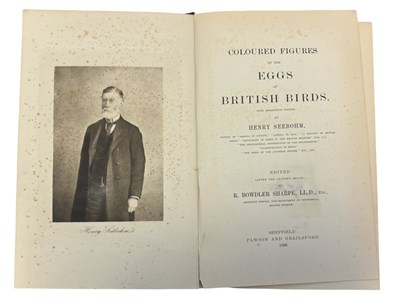 Lot 90 - HENRY SEEBOHM: COLOURED FIGURES OF THE EGGS OF...