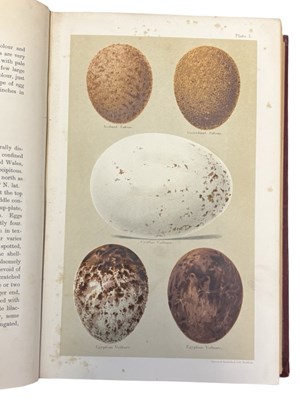 Lot 90 - HENRY SEEBOHM: COLOURED FIGURES OF THE EGGS OF...